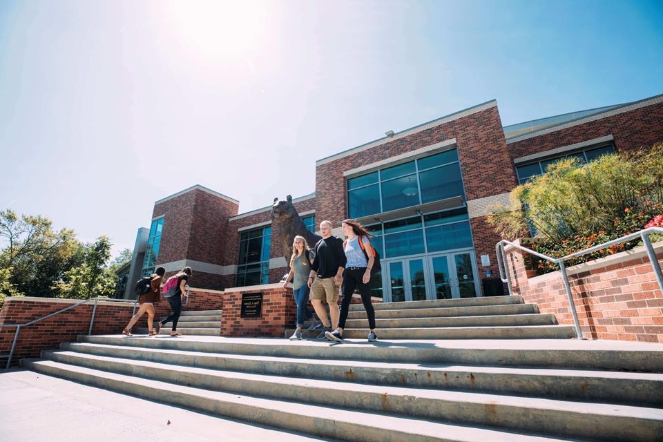 Students walking down campus stairs